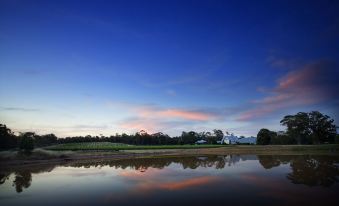 Balgownie Estate Bendigo