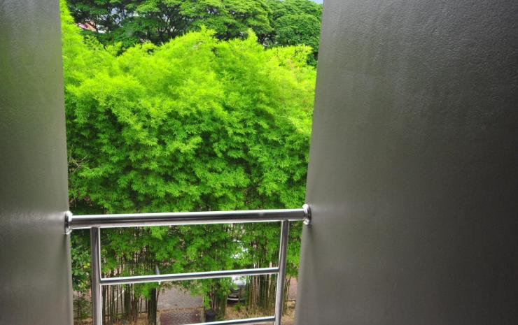 高级双人间或双床间