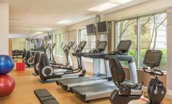 a gym with various exercise equipment , including treadmills and ellipticals , arranged in rows near large windows at Sheraton Suites Chicago Elk Grove