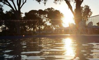 a swimming pool with the sun setting behind trees , creating a serene and peaceful atmosphere at Casa Nostra Motel