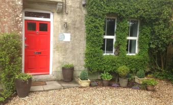 Three Ivy Cross - Housity