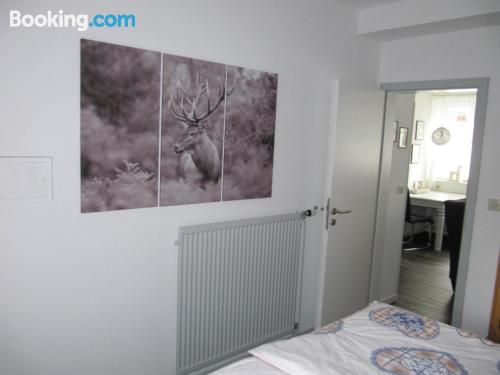 公寓 - 地面楼层