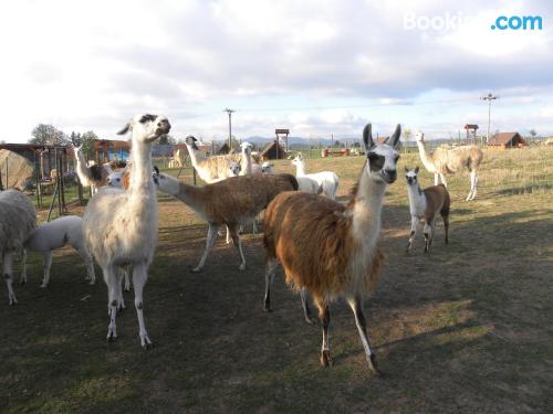 花园景家庭公寓