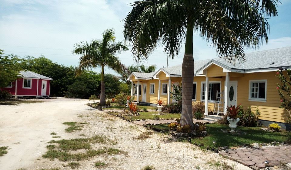 a beach house surrounded by palm trees on a sandy beach , with the ocean visible in the background at Country Cove