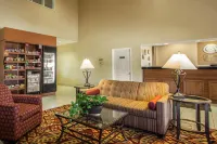 Comfort Suites Normal University Area