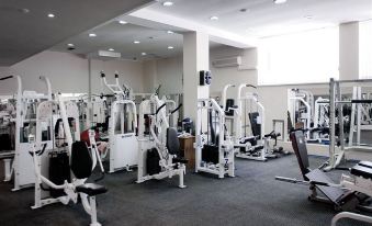 a well - equipped gym with various exercise equipment , such as treadmills , weight machines , and stationary bikes at Hotel Europe