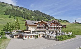 a large building situated on the side of a mountain , surrounded by trees and grass at Hotel Steinbock