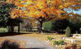 Windsong Manor - Housity
