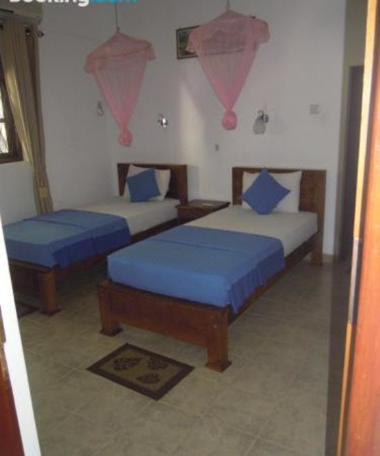 豪华双人或双床房