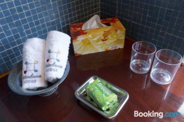 标准双人或双床房