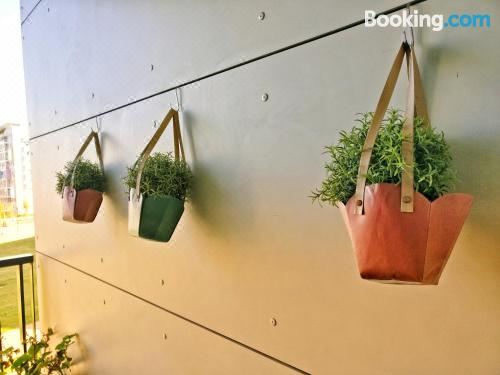 一卧室公寓 - 带露台