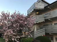 Hotel Campanile Nature - Cergy Pontoise Hotels in Val-d'Oise