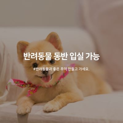 게스트룸 (반려동물 동반가능)