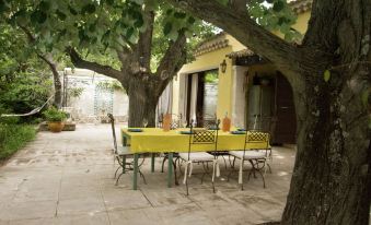 Holiday Home with Private Pool and Large Garden Near Avignon