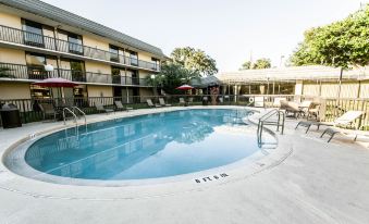 Equus Inn I75