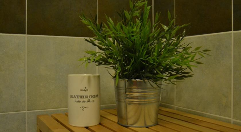 一卧室公寓 - 带露台