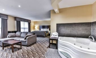 Comfort Inn & Suites Ambassador Bridge