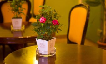 Andromeda Suites - Housity