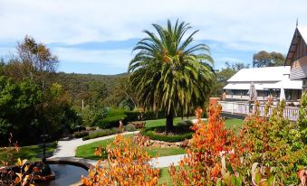 a large palm tree stands in a grassy field , surrounded by a few smaller trees at Hotel Bellinzona Daylesford