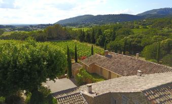 aerial view of a stone house surrounded by green trees and vineyards , located in a rural area at Le Clos Saint Saourde