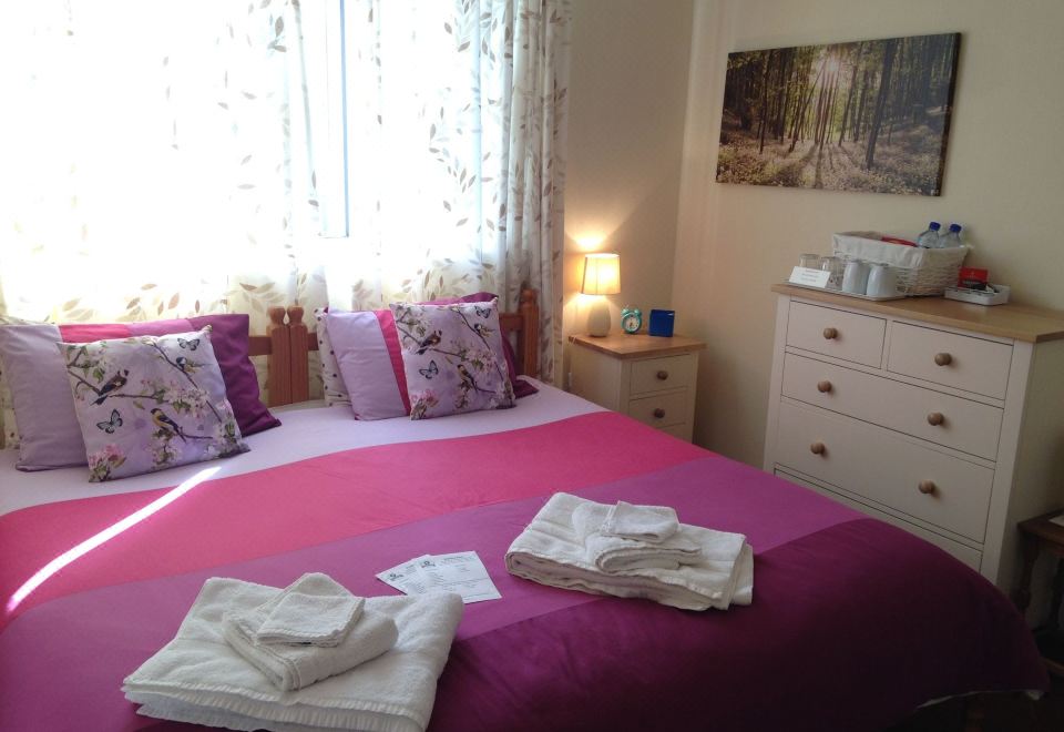 园景特大床房（超级）