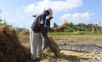 Pondok Sawah Asri