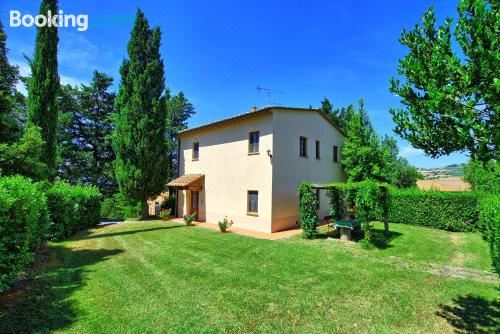 别墅（带独立泳池）