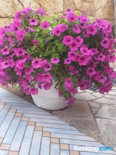 别墅 - 独立建筑