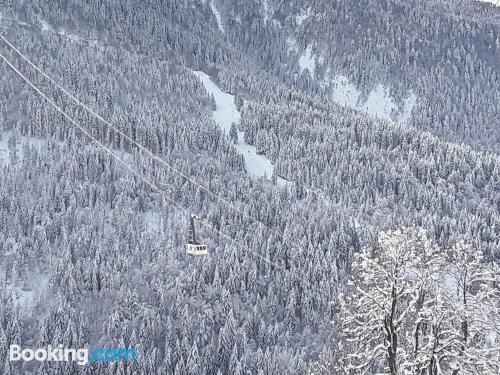 一室房 - 地面楼层
