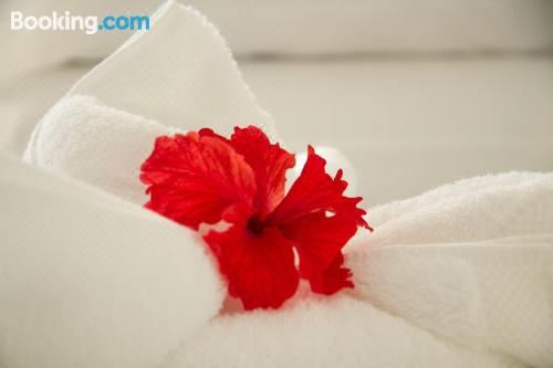 豪华特大床房（园景）