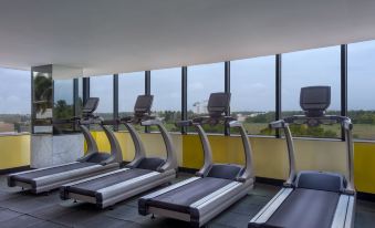 a gym with a row of treadmills and elliptical machines , surrounded by windows that offer a view of the outdoors at Le Meridien Coimbatore
