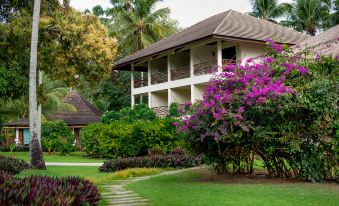 a lush green lawn with a large house in the background , surrounded by lush trees and bushes at Pousada Praia Dos Carneiros