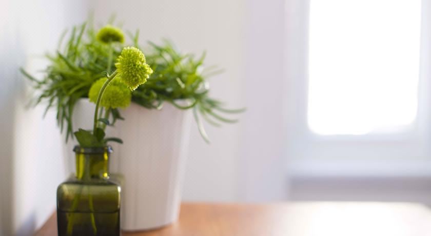 特大床或双床房