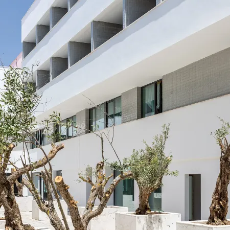 Evora Olive Hotel