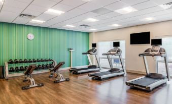 Holiday Inn Express & Suites Tampa North - Wesley Chapel
