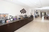 Microtel Inn & Suites by Wyndham Elkhart