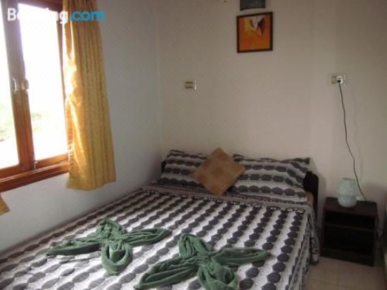 享有花园景致的公寓