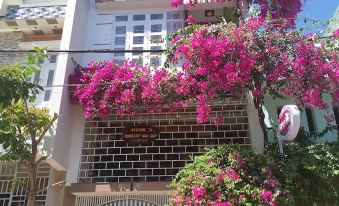 Hoa Giay Quy Nhon Homestay - Hostel