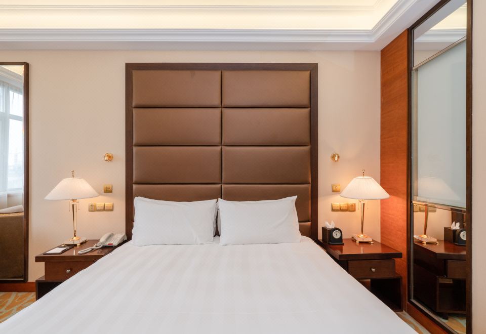 豪华商务大床房