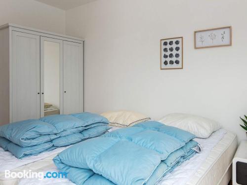 六卧房（假日）