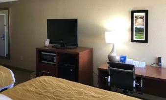 Comfort Inn N Myrtle Beach Barefoot Landing