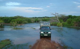 Explorer by Mahoora – Bundala National Park