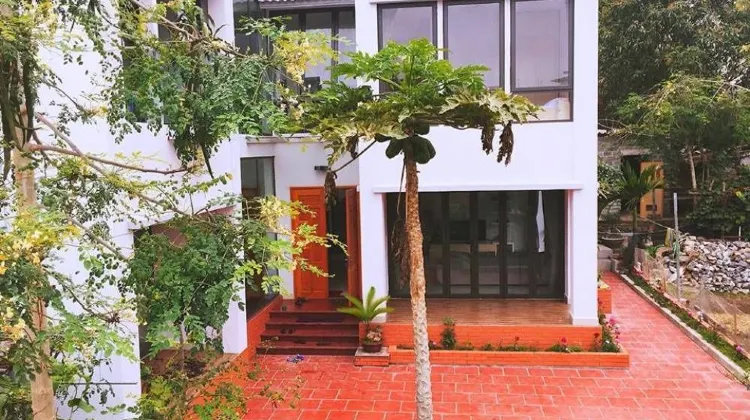 D'Home Homestay Cat Ba 外観