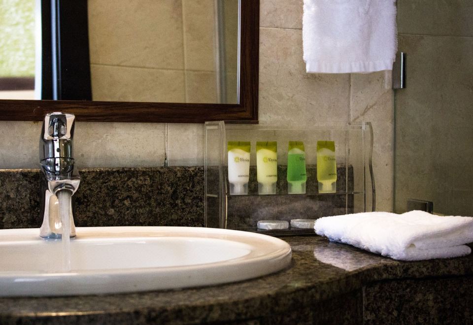 豪華房 - 帶1張大床