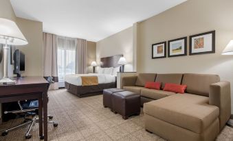 Comfort Suites Lafayette University Area