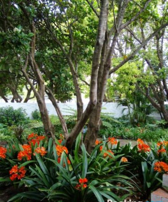 豪华特大床一室房