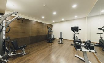 a well - equipped gym with various exercise equipment , including weight machines and cardio machines , arranged in a spacious room at Residence Hotel