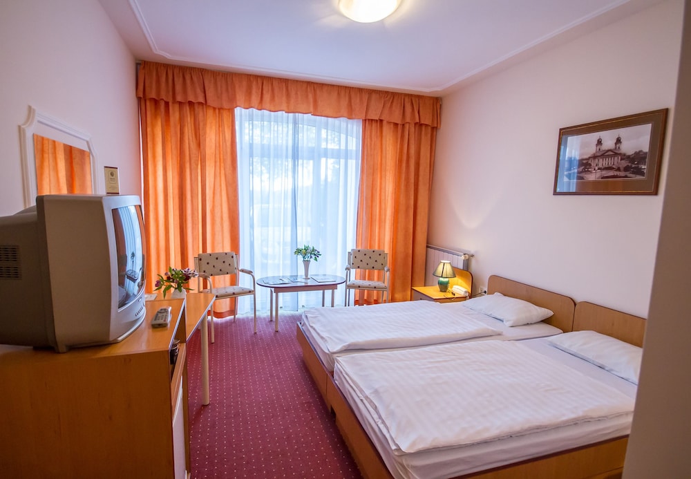 Platan Hotel,Debrecen 2024