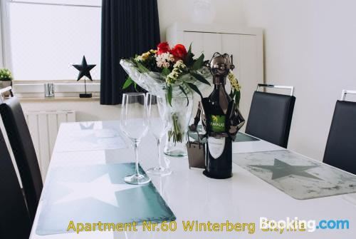 Citylife Winterberg Ferienwohnung Pool Sauna 5 Pers Near Ski Lift Wifi PS4 Deluxe Apartment