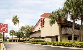 Rodeway Inn Tampa Near Busch Gardens-USF